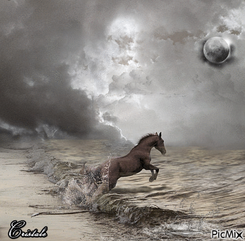 Cheval dans la tempête - Bezmaksas animēts GIF