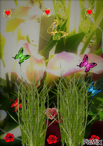 Kwiaty. - Bezmaksas animēts GIF