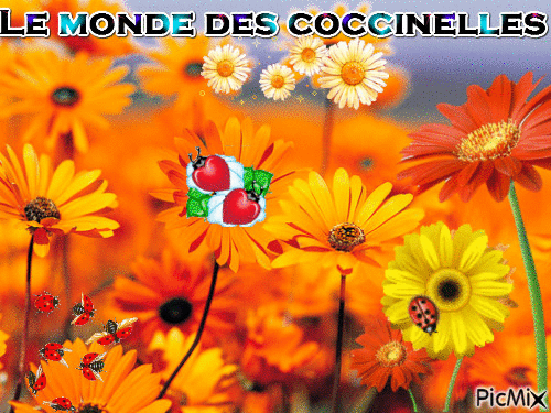 Le monde des coccinelles - Animovaný GIF zadarmo