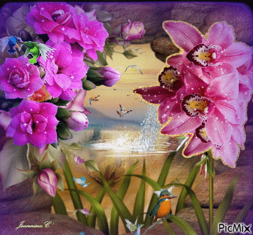 image fleurs - Безплатен анимиран GIF
