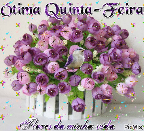ótima Quinta-Feira - Бесплатный анимированный гифка