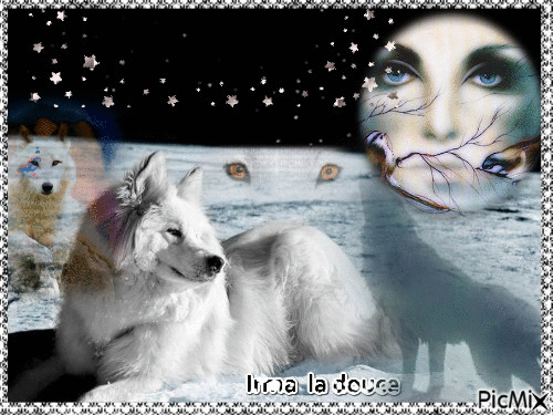 Loup au clair de lune - Darmowy animowany GIF