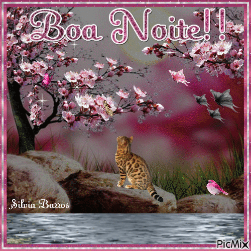 Boa Noite!! - Ücretsiz animasyonlu GIF