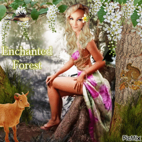 forest - Gratis animeret GIF