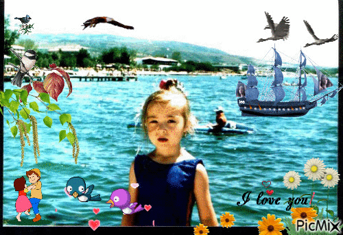 denizdeki kuşlar - Darmowy animowany GIF