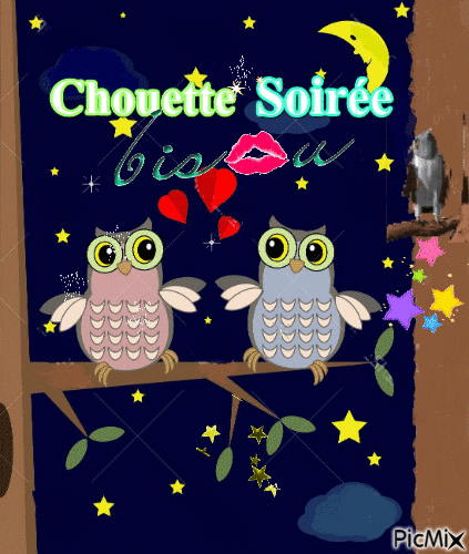 Chouette soirée - Bezmaksas animēts GIF