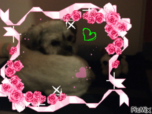 mon bébé chien - Darmowy animowany GIF