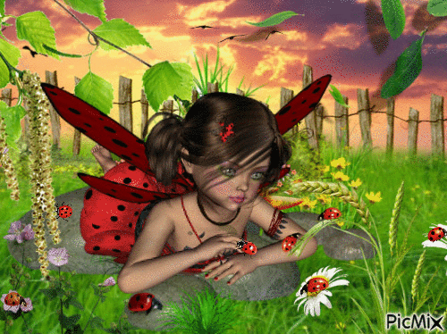 ladybug - Gratis animeret GIF