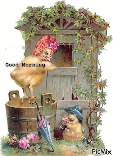Good Morning, chickens - Gratis geanimeerde GIF