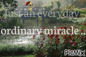 every day miracles - Бесплатный анимированный гифка