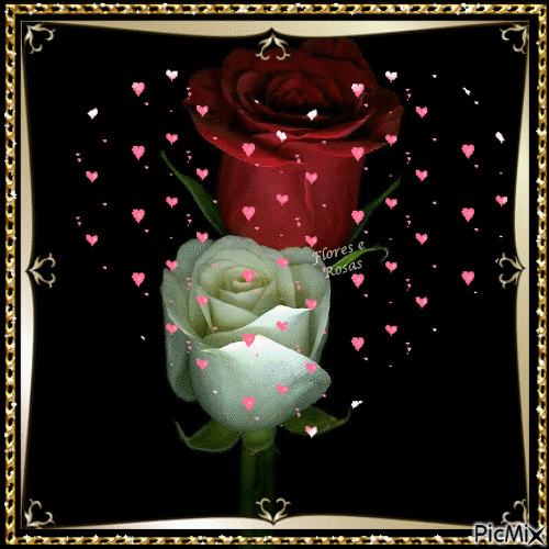 rosas com amor - Безплатен анимиран GIF