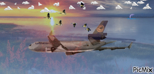 samolot - Darmowy animowany GIF