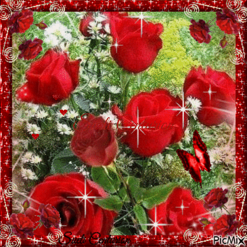 Rosas vermelhas - GIF animasi gratis