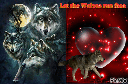 Love the Wolf - Free animated GIF