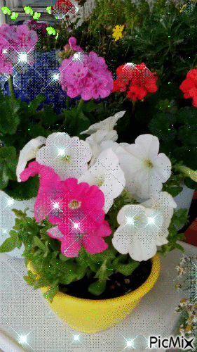 fleurs~flowers - Gratis geanimeerde GIF