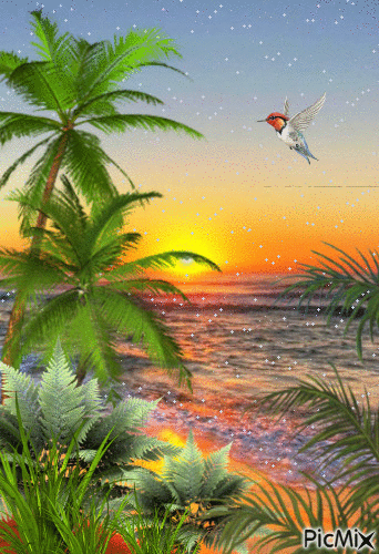 tropicalipus - Darmowy animowany GIF