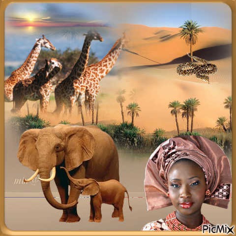 La Nature Africaine - darmowe png
