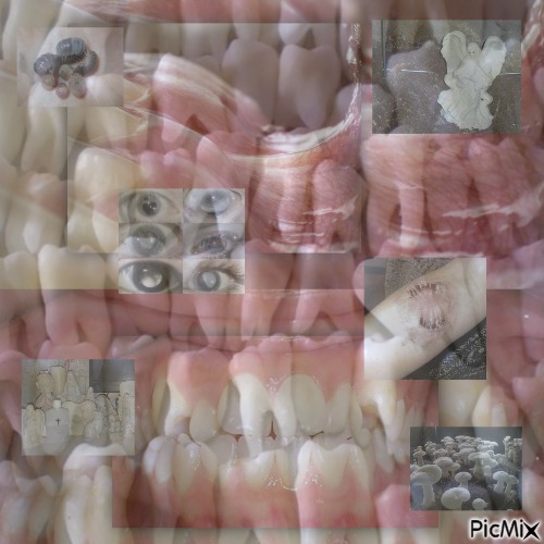 teeth - zdarma png