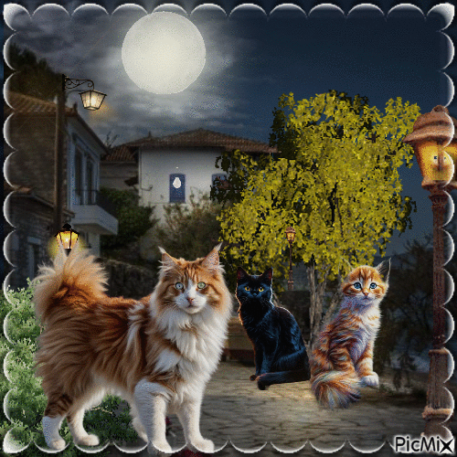 gato deambula por un pueblo de montaña por la noche - Bezmaksas animēts GIF