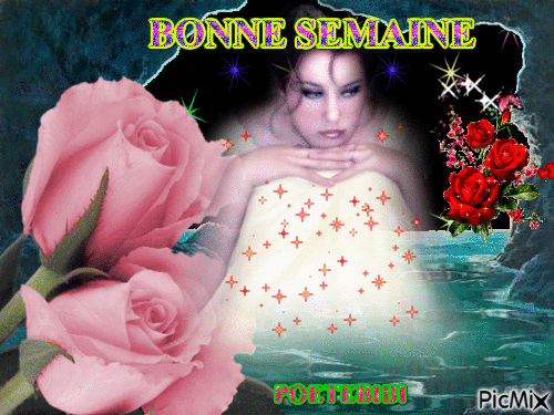 BONNE SEMAINE - Δωρεάν κινούμενο GIF