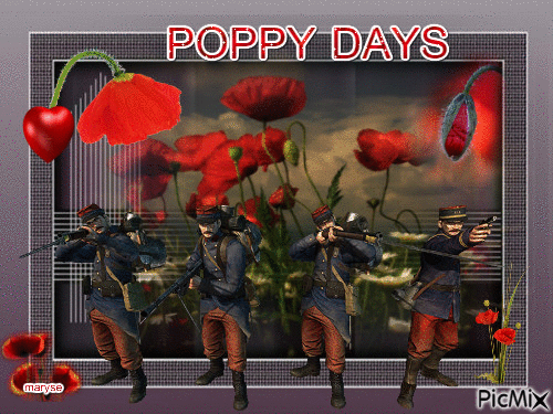 POPPY DAY - Бесплатный анимированный гифка