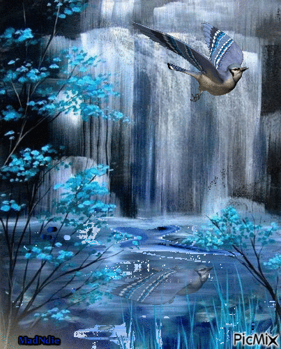 l'oiseau et les chutes d'eau - 免费动画 GIF