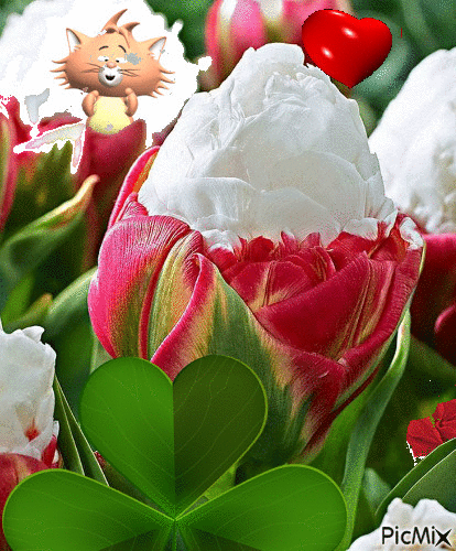 Flores helado - Ingyenes animált GIF