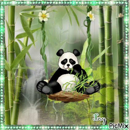 panda - Ingyenes animált GIF