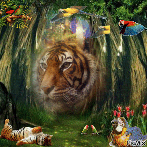 Tigres et Perroquets - Безплатен анимиран GIF
