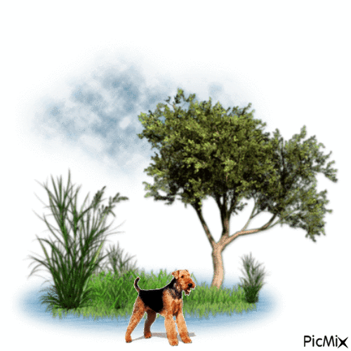 cane - Ingyenes animált GIF