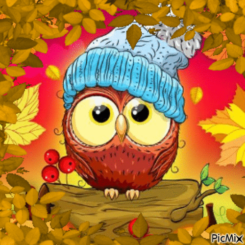 Chouette - automne - Free animated GIF