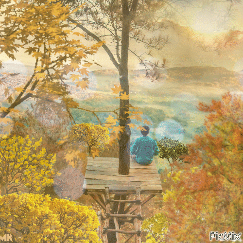 En la copa de un árbol - Darmowy animowany GIF