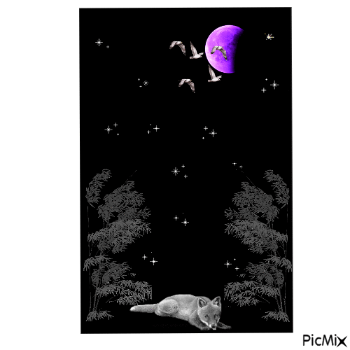 El lobo y la luna - Бесплатни анимирани ГИФ