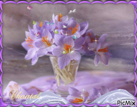 bouquet mauve - Darmowy animowany GIF
