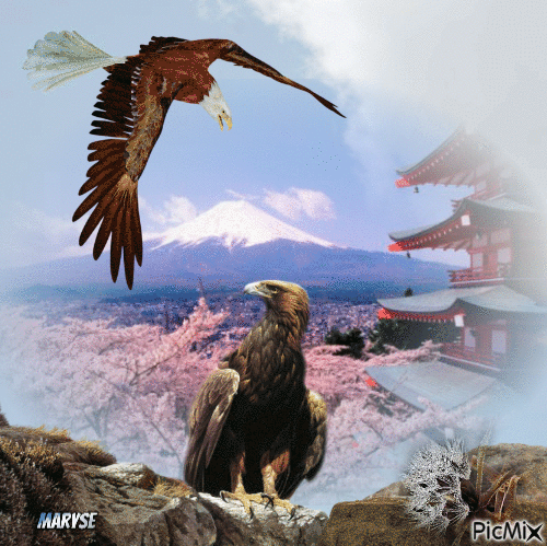eagles - Animovaný GIF zadarmo