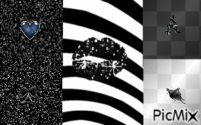 Noir et blanc - GIF animé gratuit