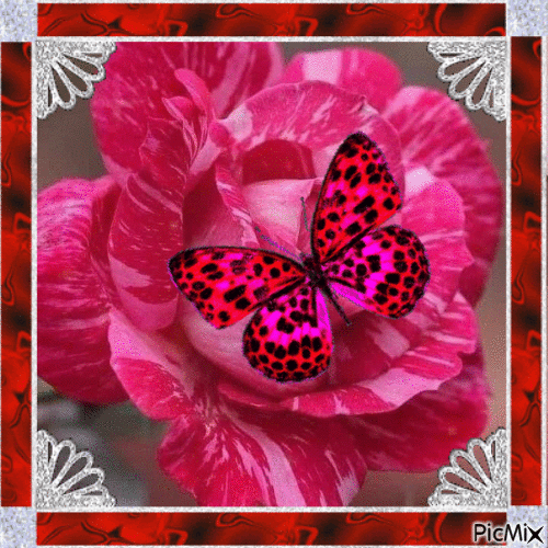 rose et papillon - GIF เคลื่อนไหวฟรี