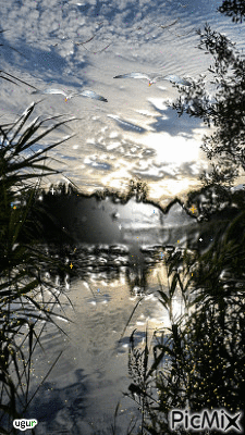 gün batımında - Darmowy animowany GIF