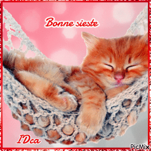 Bonne sieste  les chatons - Бесплатный анимированный гифка