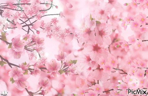Flor de almendro - Darmowy animowany GIF