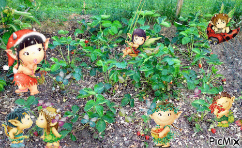 les lutins surveillent les fraises - Darmowy animowany GIF