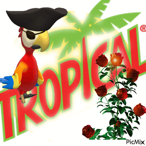 Tropical! - GIF animasi gratis