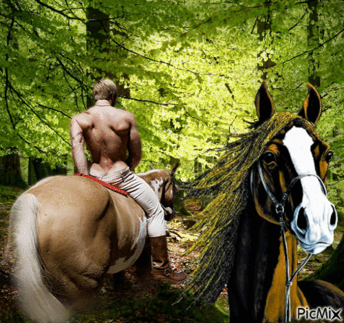 à cheval - Free animated GIF