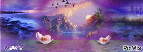 Purple Sunset - GIF animé gratuit