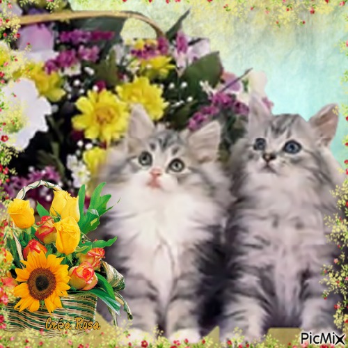 Concours : Deux chats et des fleurs - 免费PNG
