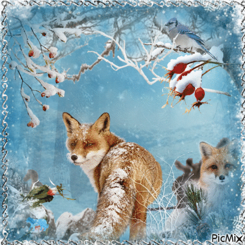 Red foxes in a winter forest - Бесплатни анимирани ГИФ
