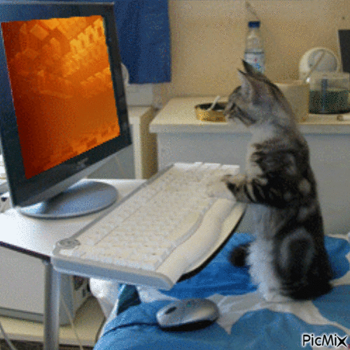 Amazing Cat - Bezmaksas animēts GIF