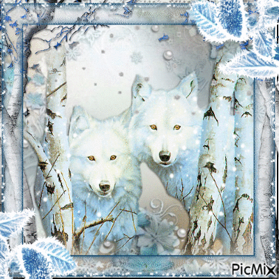 white wolf - Δωρεάν κινούμενο GIF