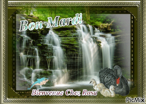 Bon Mardi - Zdarma animovaný GIF