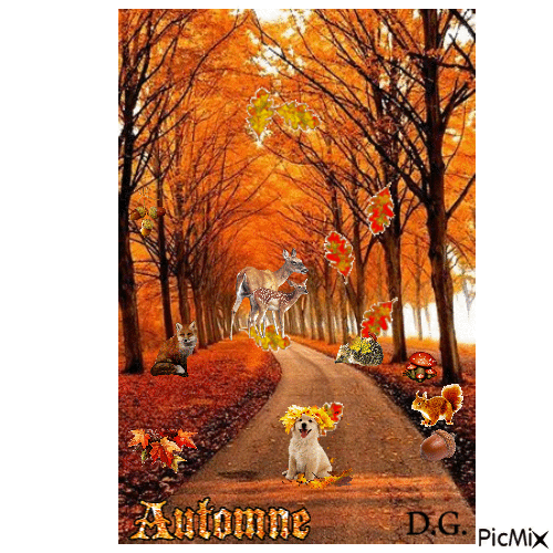 bonjour l'Automne - Free animated GIF